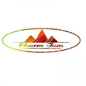 کفش چرم تام